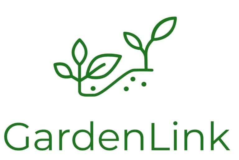 Aménagement végétal bureau – Garden Link