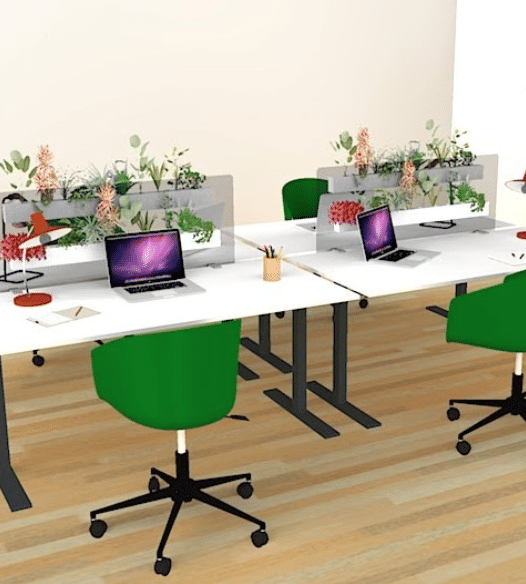 Plante intérieur de bureau