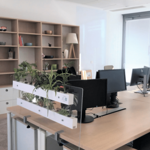 Choisir sa plante intérieur de bureau