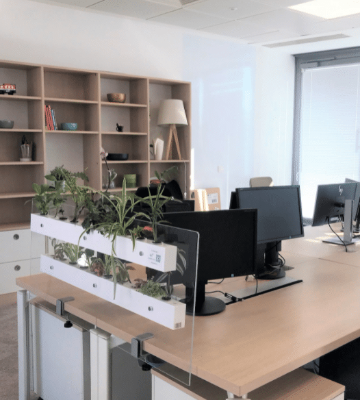 plante interieur bureau